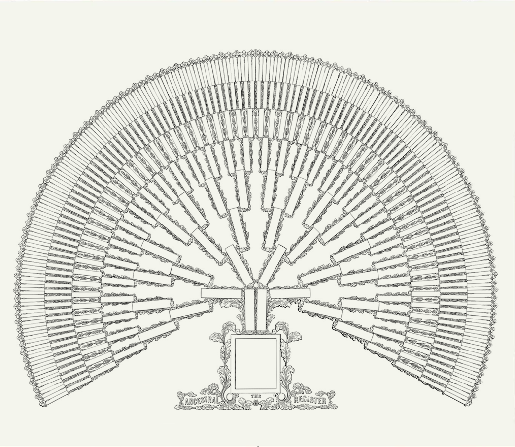 Arbre généalogique illustrant les branches familiales paternelles et maternelles
